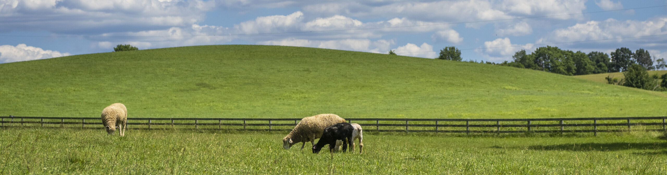 Find Farmland - FIC